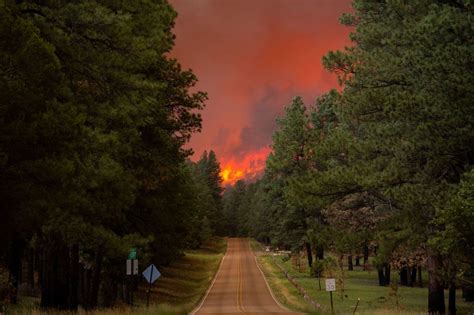 alicia scott xxx|At least 1 reported dead in New Mexico as 2 wildfires burn near .